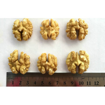 Lowest price china whole walnut in shell with high quality